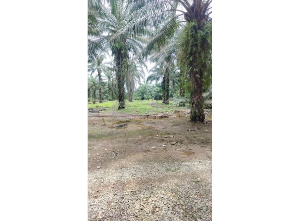 Jenjarom, Selangor 42600