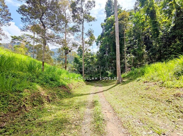 Bentong, Pahang 28750