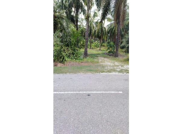 Banting, Selangor 42700