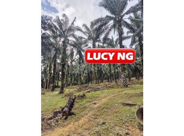 Karangan, Kedah 9700
