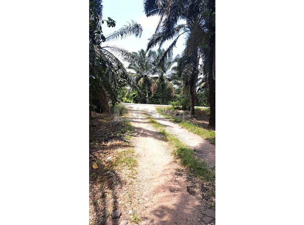 Banting, Selangor 42700