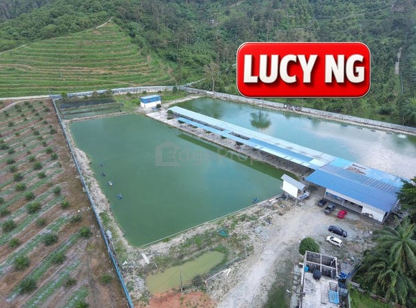 Taiping, Perak 34000