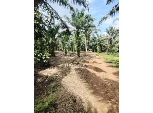 Jenjarom, Selangor 42600