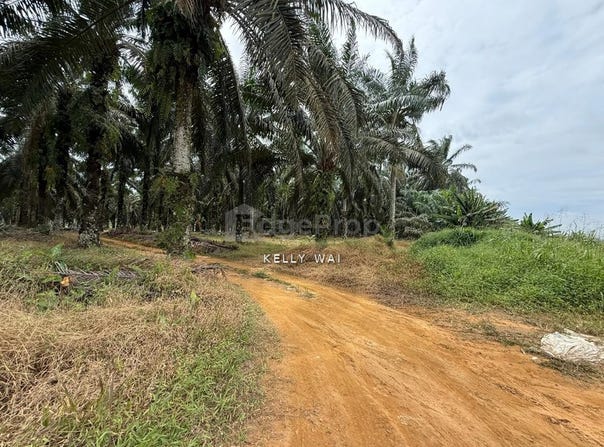 Senai, Johor 70300