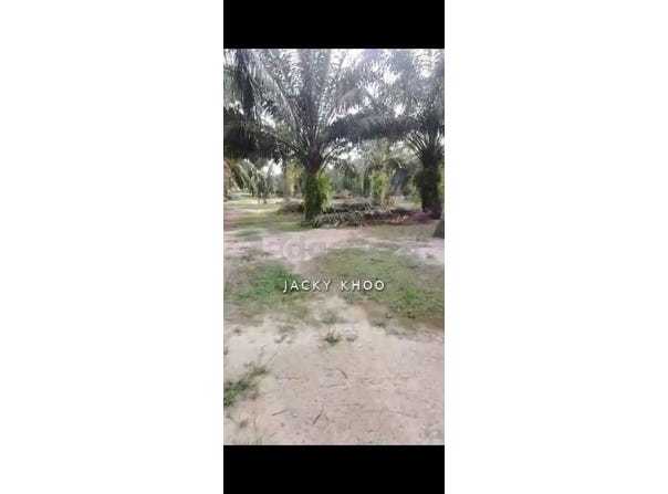 Banting, Selangor 42700
