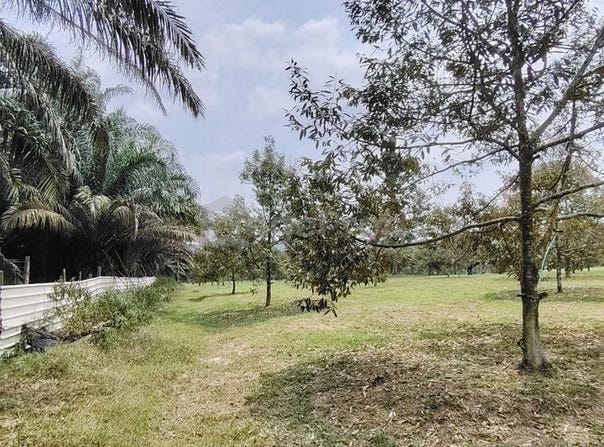 Ulu Tiram, Johor
