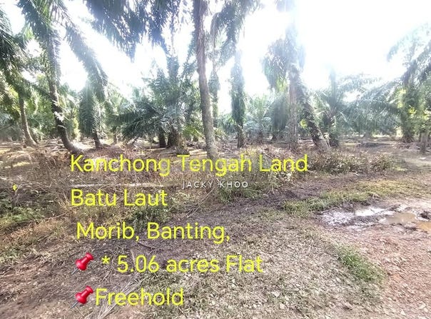 Banting, Selangor 42700