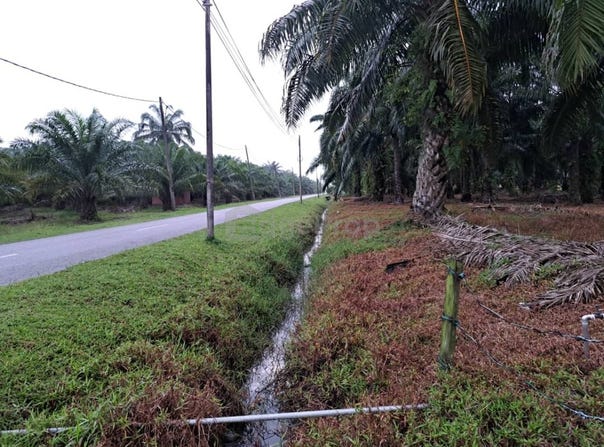 Banting, Selangor 42700