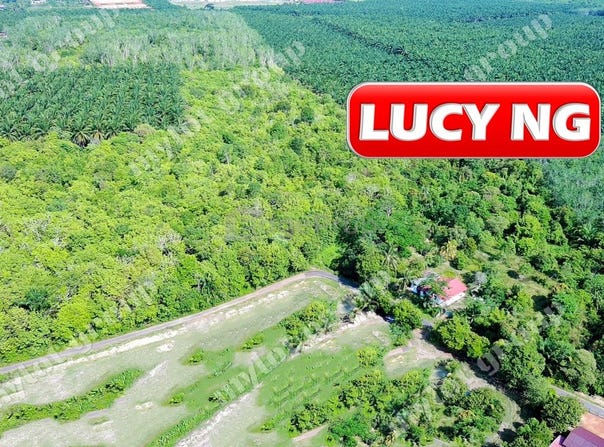 Pendang, Kedah 6720