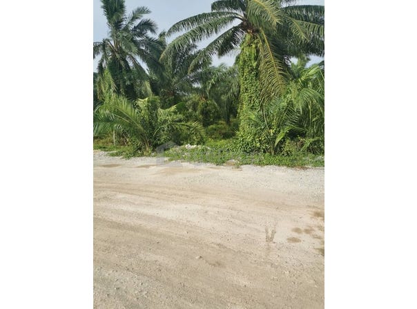 Telok Panglima Garang, Selangor 42500