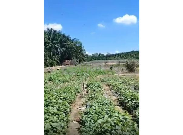 Rawang, Selangor 48020