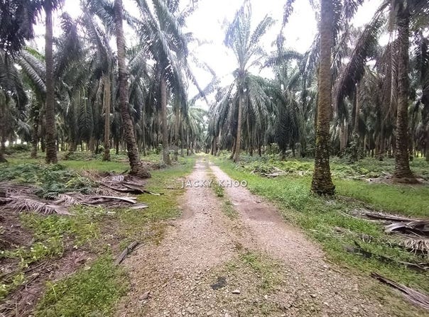 Kuala Langat, Selangor 42700