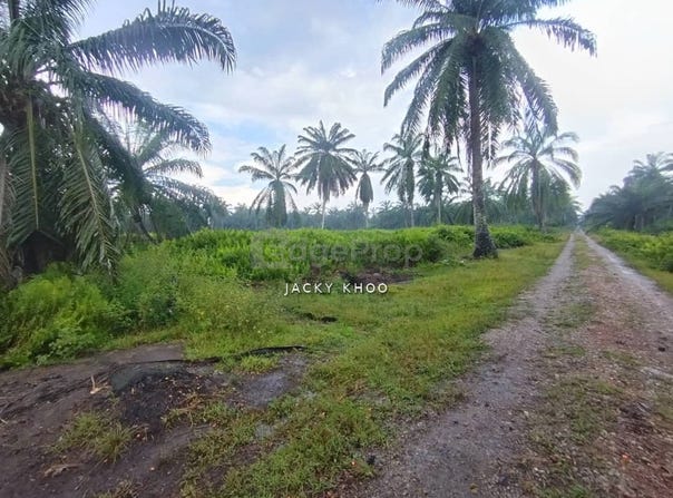 Banting, Selangor 42700