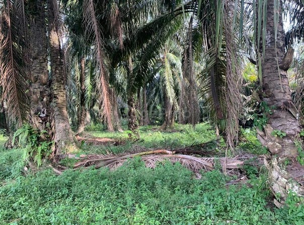 Parit, Perak 32800