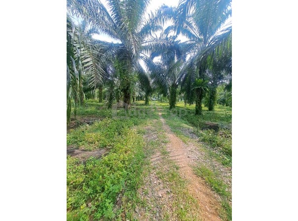 Jeram, Selangor 45800