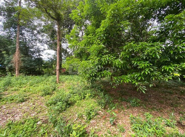 Kuantan, Pahang 26100
