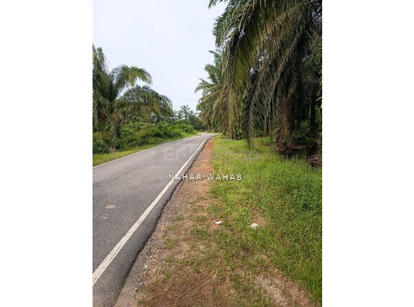 Muar, Johor 0