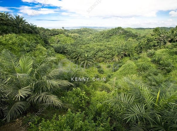 Kunak, Sabah