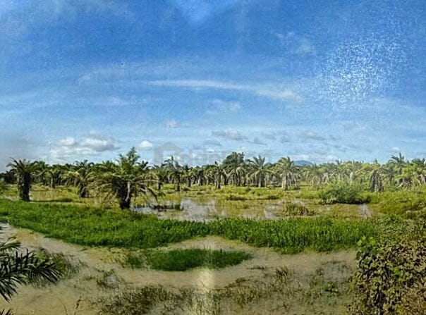 Batu Pahat, Johor
