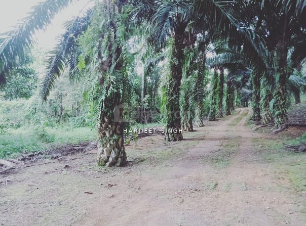 RAWANG, Selangor 48200