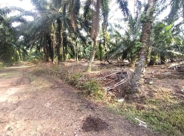 Banting, Selangor 42700