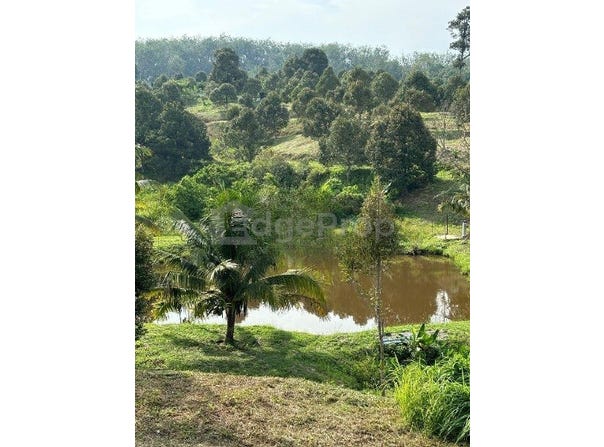 Raub, Pahang 26700