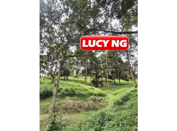 Taiping, Perak 34000