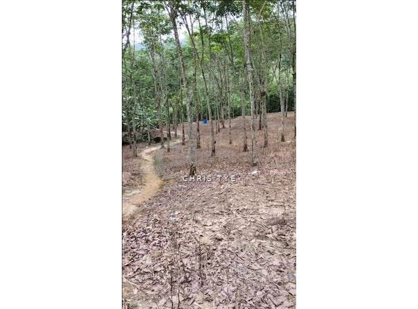 Hulu Langat, Selangor 43500