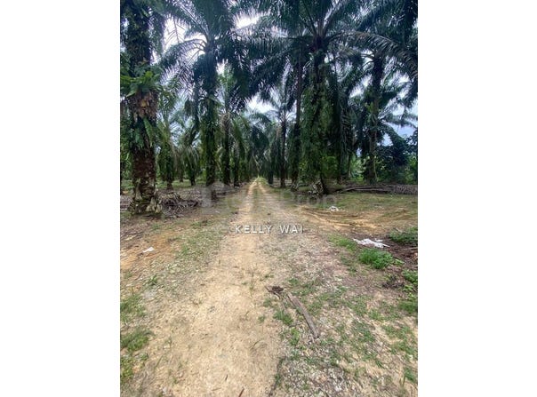 Senai, Johor 81400
