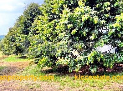 Semenyih, Selangor 71750
