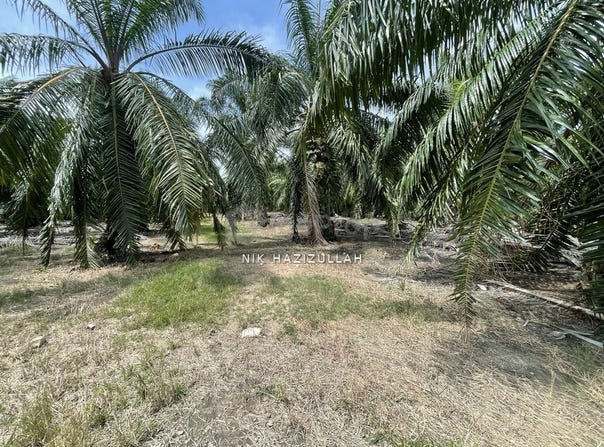 Kuala Selangor, Selangor 45700