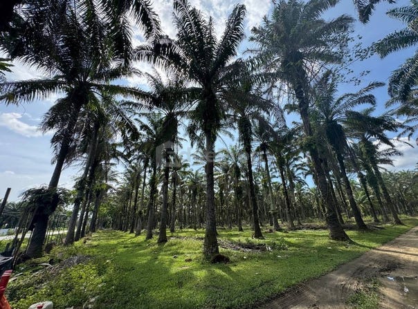 Batang Padang, Perak 35500