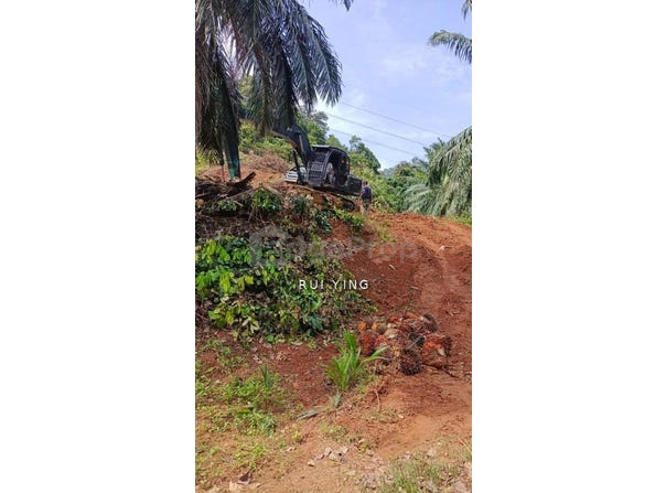 Segamat, Johor 85000