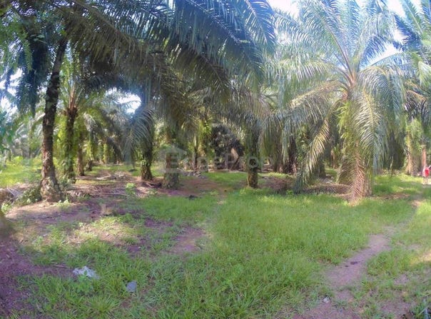 Jugra, Banting, Selangor 42700