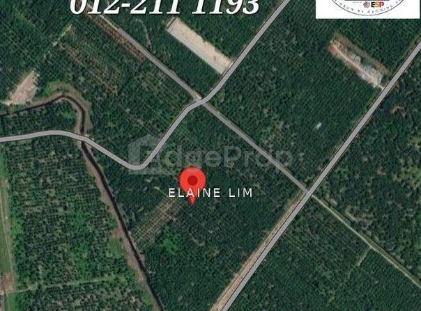 Banting, Selangor 0