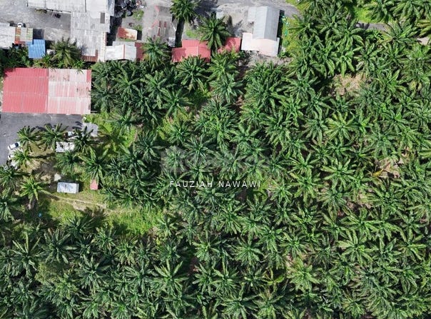 Kuala Langat, Selangor 42700