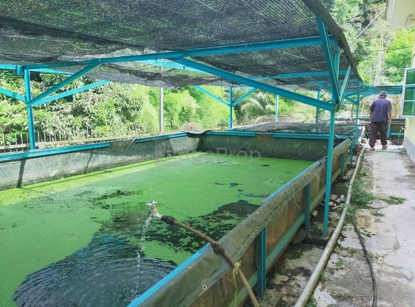 Ipoh, Perak