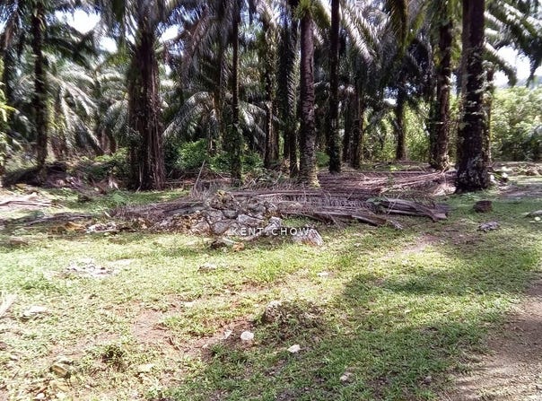 Sungai Siput, Perak 31100