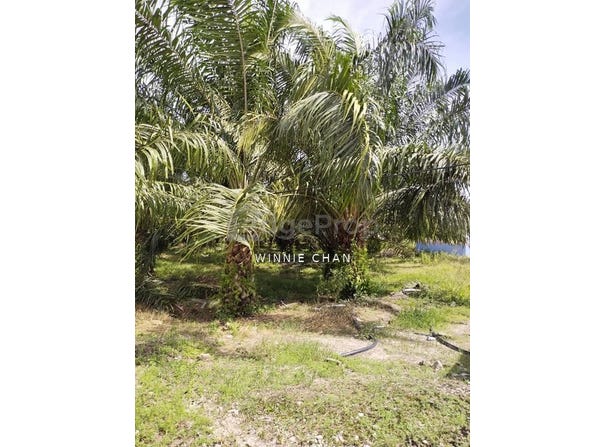 Manjung, Perak 32000