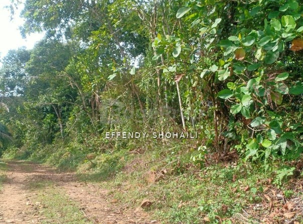 Batang Kali, Selangor 0