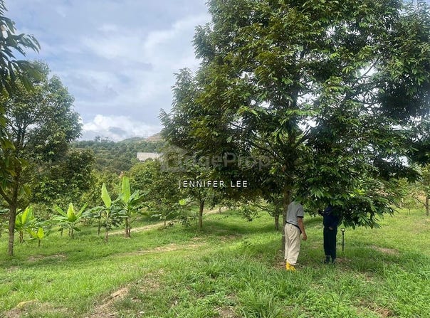Raub, Pahang 0