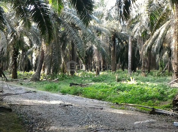 j, Sepang, Selangor 43950