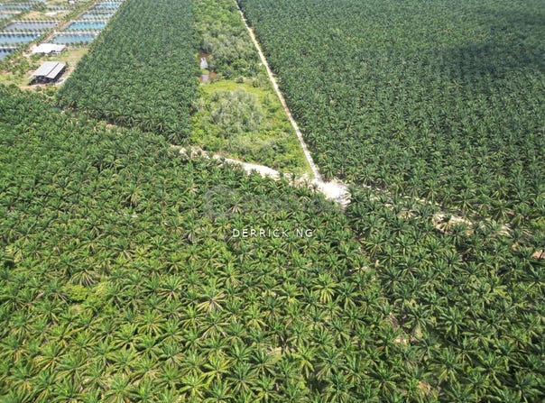 Bedong, Kedah 8100