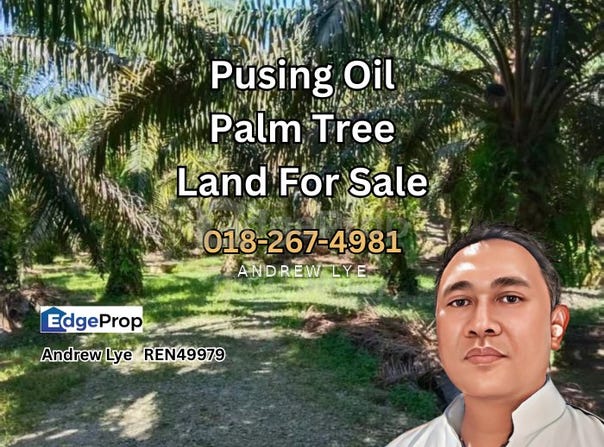 Kinta, Perak 31550