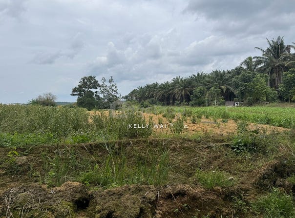 Kulai, Johor 81000
