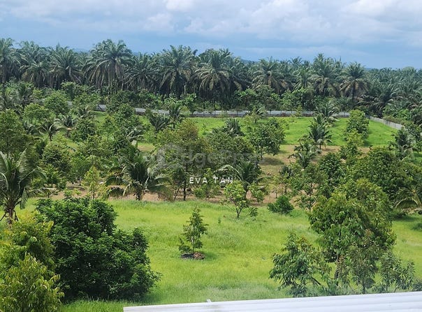 Kluang, Johor 86200