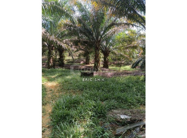 Batang Padang, Perak 35500