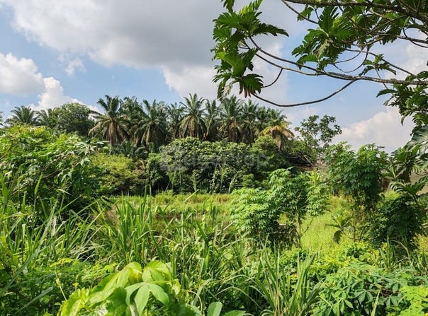 Ulu Tiram, Johor 81800
