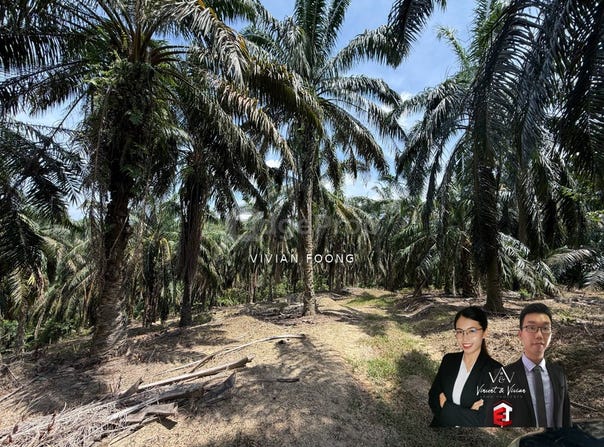 sungai siput, Kuala Kangsar, Perak 31100