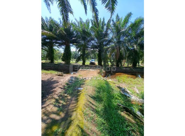 Banting, Selangor 42700